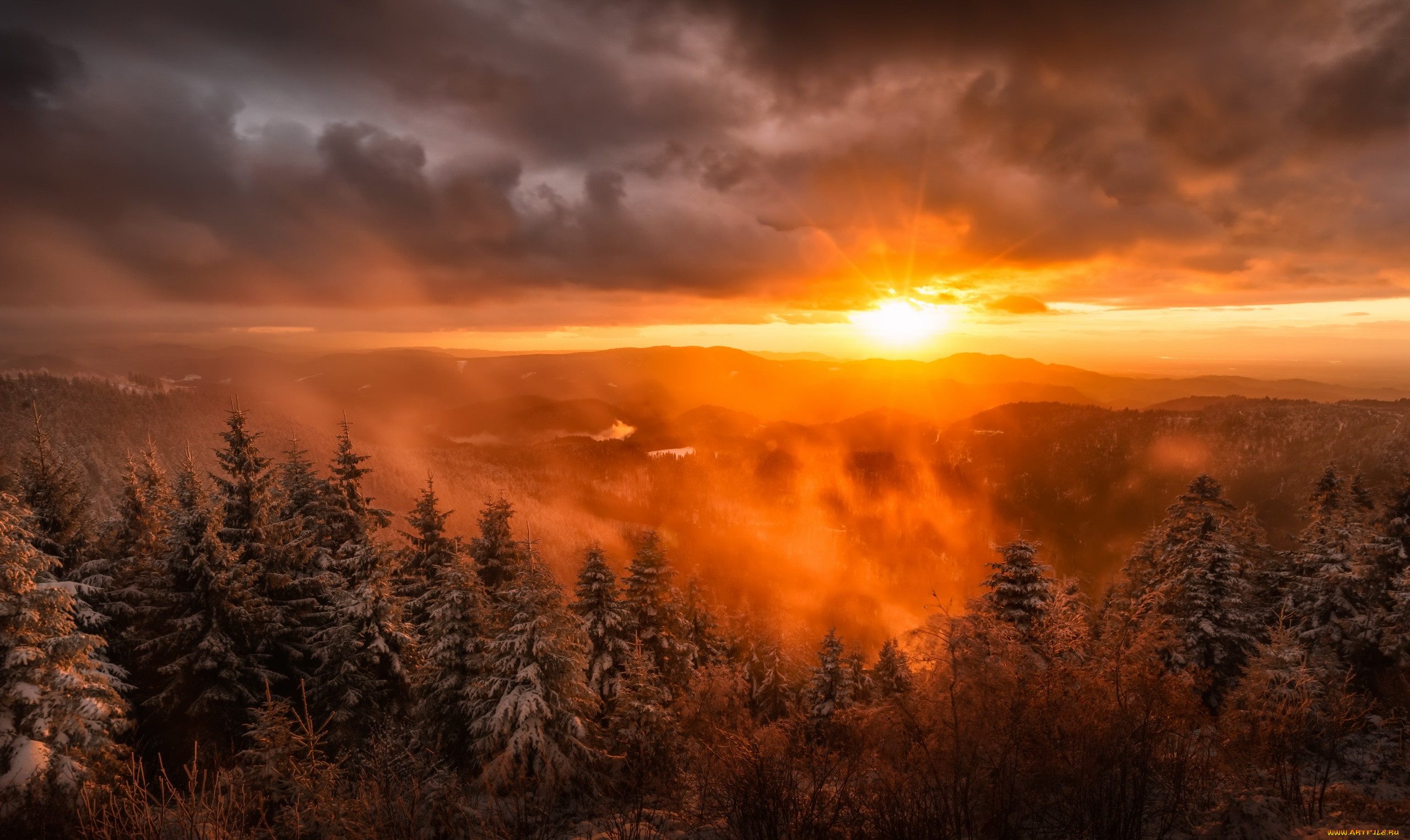 , , , , sunlight, trees, sky, nature, landscape, 